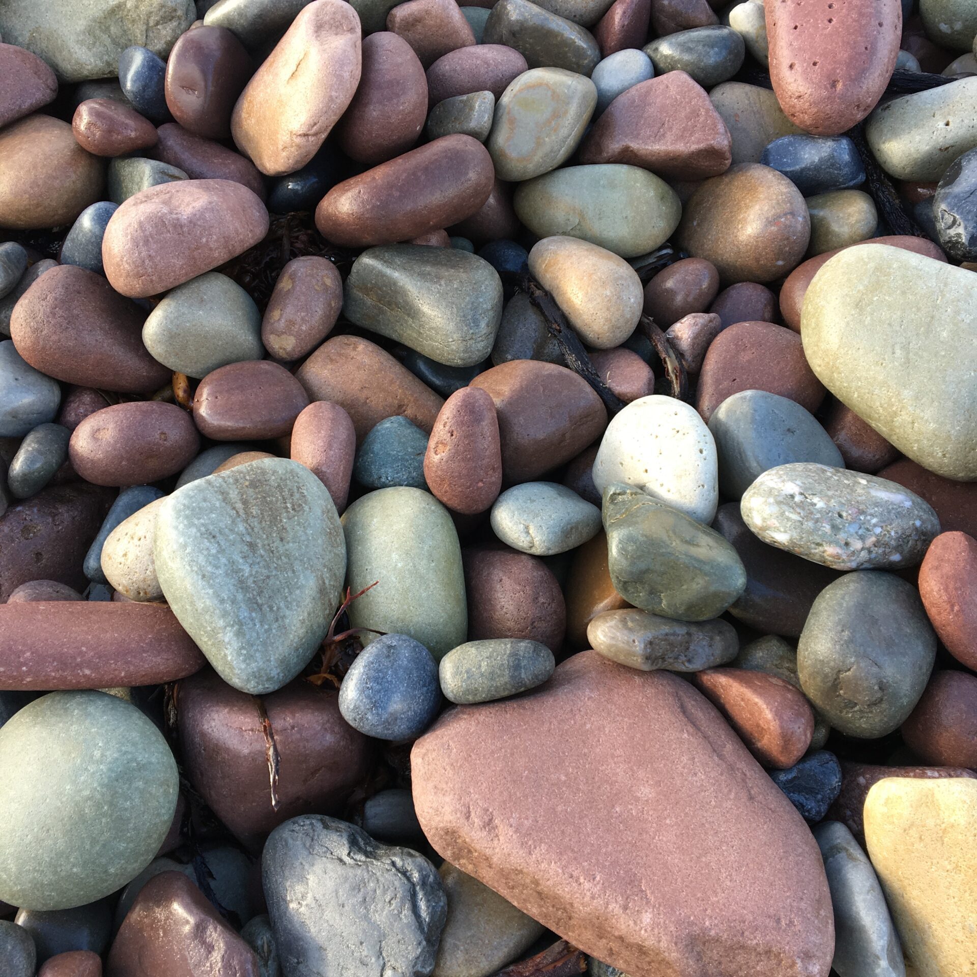 rocks at an Irish strand photo by Kara Q. Lewis